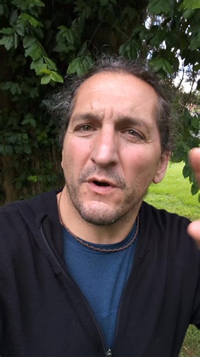 109K views · 3.7K reactions | Stop fighting and start healing.  You're triggering each other for a reason. Stop avoiding those issues and start working on healing together. Reach out if you want help. I've opened up coaching slots once again and want to help you heal and change your life. -Craig | Steph and Craig | Facebook