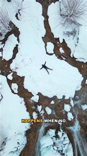 The Fossa: Madagascar's Top Predator Unveiled