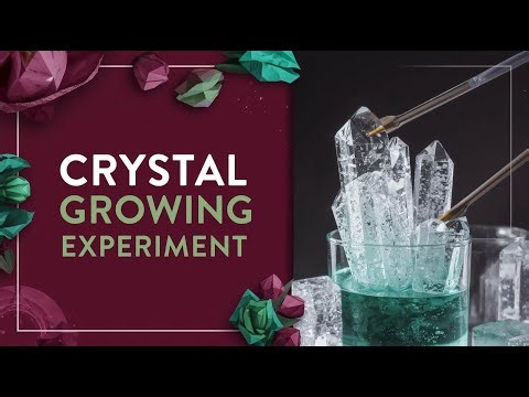 How to Grow Edible Crystals at Home! Geology Rock Candy Crystal Experiment
