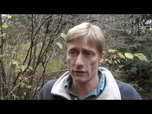 Oregon Spotted Frogs Released Into The Wild