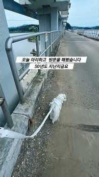 아버지의 추억을 그리며 #쇼츠 #보고싶은울아버지#아버지사랑합니다#그립습니다