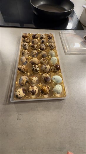 Quail Eggs | Cora J Andersen