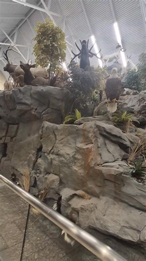 Wake wake ,nkhaniyo ikutero | Brenda Nkhoma