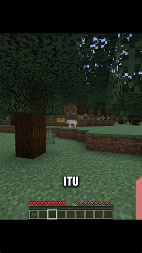 HUTAN DI MINECRAFT KU INI ADA PENGHUNI MENGERIKAN ‼️