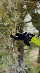 Safely lop tall branches from the ground with the RYOBI 18V ONE+ EZ REACH™ Pole Lopper. One pole, one battery, multiple heads for a multitude of jobs!  | RYOBI | Facebook