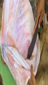 #primitive #chef #cooking | Quant-Amber TH