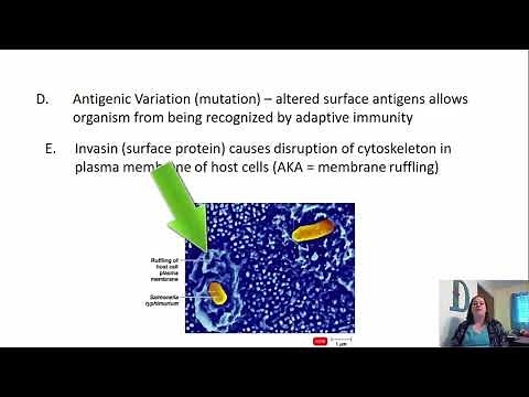 Chapter 15 Microbial Mechanisms of Pathogenicity