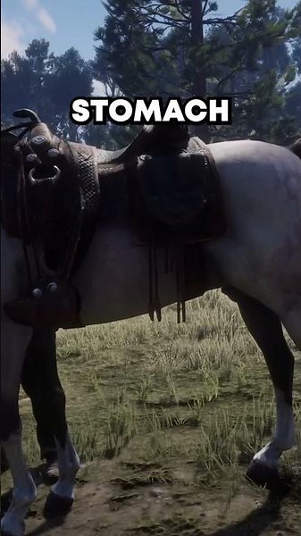 Horse Feeding Detail in Red Dead Redemption 2