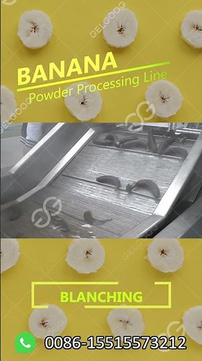 Banana Flour Drying Processing Machine