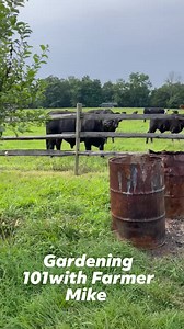 Sombody got a tude 🤣 Our big bull wanting a treat , 🍎 | Mike Smith