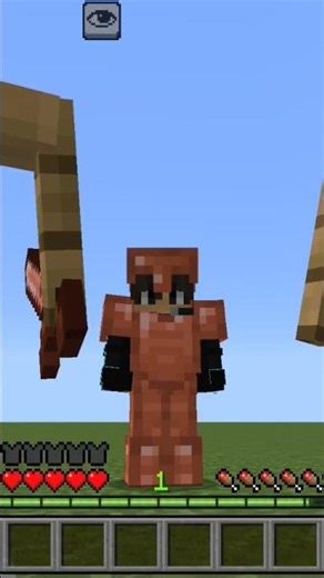 #mostrando todos os itens do Minecraft de cobre