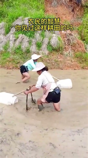 Raking Fields #Plowing Fields #Spring Plowing #Three Rural Issues #Rural Life #My Rural Li#c90ce