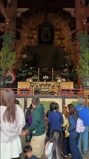 日本最大級の大仏、デカすぎて意味不明