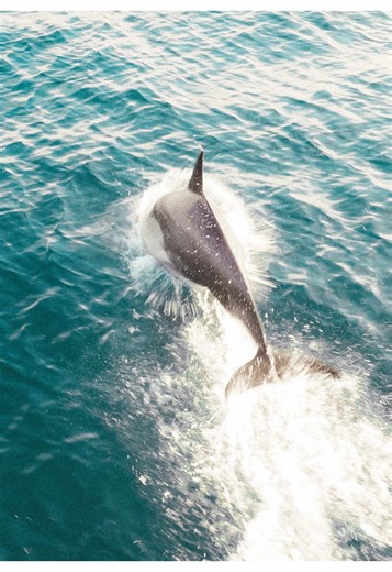 You can’t control the waves. But you can learn how to surf.