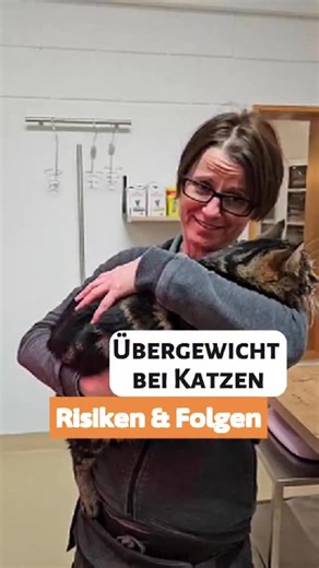 Tierärztin Manu | Zentrum für Tiergesundheit LiHo on Instagram: "Süß reicht leider nicht ⠀ Übergewicht bei Katzen ist kein Schönheitsproblem. Süß aussehen reicht leider nicht aus, um gesund zu sein. ⠀ Zu viel Gewicht belastet den Körper auf vielen Ebenen. Der Stoffwechsel gerät aus dem Gleichgewicht. Das Risiko für Diabetes steigt deutlich, weil Übergewicht die Wirkung von Insulin spürbar verschlechtert. Auch die Gelenke leiden. ⠀ Mehr Gewicht bedeutet mehr Belastung. Der Verschleiß nimmt zu. Be