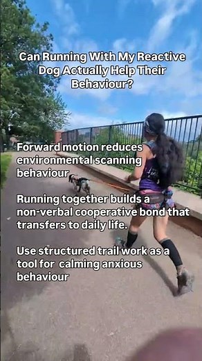 Canicross To Help Reactive Dogs