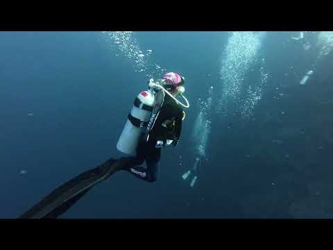 Diving di Rhun Island, Banda Neira - Ambon