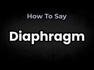 How To Pronounce Diaphragm? (CORRECTLY) Meaning & Pronunciation