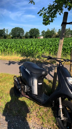 Ultimate Guide to Piaggio TPH Scooter Tuning