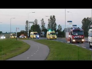 Kinderfeestbeest 2012 Route Cobra (Dreamnight)