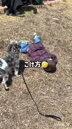 ド派手にこけた！！