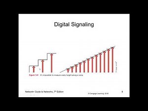 Network Fund - chapter 5 Network Cabling