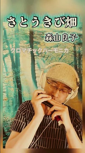 さとうきび畑／森山良子【ｸﾛﾏﾁｯｸﾊｰﾓﾆｶ】#harmonica