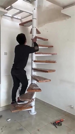 Ladder #shorts #science