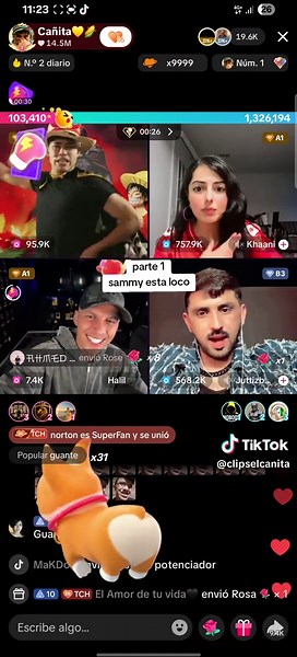 Sammy: Un loco en el programa de incentivos