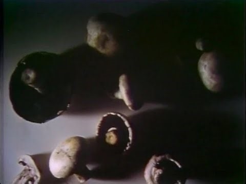 Classic Sesame Street - Vegetable Bridge: Mushrooms (better quality)