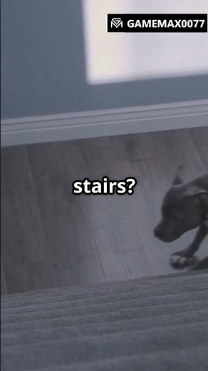 Minecraft Shorts: Epic Build Hacks!