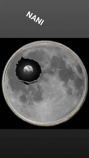 Vidéos de cheikh nani (@cheikhnani) avec son original - cheikh nani