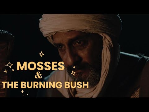 When God Spoke Through Fire: The Burning Bush That Transformed Moses