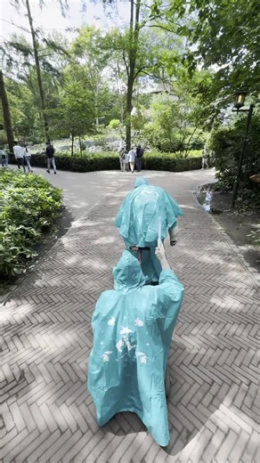 Op kabouterjacht in het Sprookjesbos van Efteling