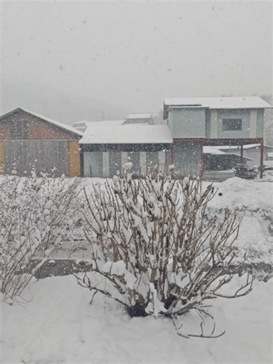 🌹赤髪🌹 on Instagram: "冬です❄雪です☃️今からレディ・ガガさんのコンサートへ行ってきます🎤（京セラドーム大阪） 雪は難儀だけど、誰でもどこでも体験できることではないから、自然を楽しみながら向かいたいと思います。"