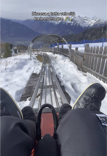 Experience Thrills on the Alpin Coaster in Merano