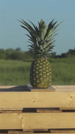 26K views · 462 reactions | What can we make explode?!  #dudeperfect #trickshot | Dude Perfect | Facebook