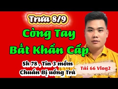 HANDCuffed and arrested, all newspapers reported the news. DRIVER, PAV must reveal the mastermind.