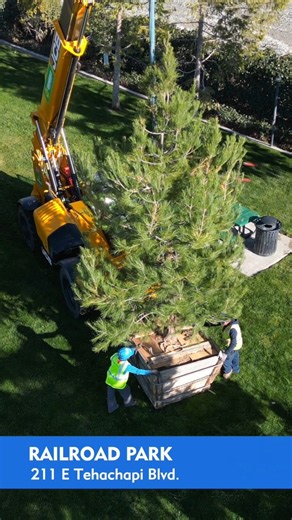 New updates to Railroad Park! 🌲✨ New pine trees have recently been planted to replace the old trees that were removed last fall. But the improvements don't stop there! More trees are on the way, in addition to other landscaping updates. To learn more about all of the infrastructural maintenance and improvement projects going on at the City, visit our website www.liveuptehachapi.com | City of Tehachapi, CA Government
