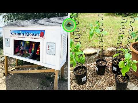 Everyday Problems Solved by Smart and Creative People