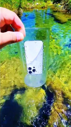 The sunlight in underwater gives the video a mystical vibe 🌿 #nature #relax #underwater #水中映像 #水中撮影