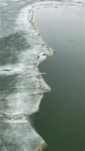 Awakening Spring: Witness Nature's Revival on the River