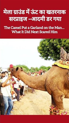 camel dance aperture song #aperture #aperturesong #cameldance