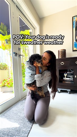 860K views · 3.3K reactions | Who else is ready for sweater weather?  Our Dodo office pup, Ozzie is ready for anything this season throws his way with the Sundays cozy grey hoodie from our collection now available at Walmart and Amazon.com! Shop here: https://thedo.do/wm-fb-hoodie And keep up with our adorable tester: https://thedo.do/themobtrio | The Dodo | Facebook