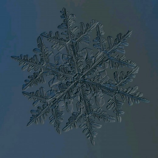 知识——科学科普:雪花究竟有多美，显微镜告诉你。