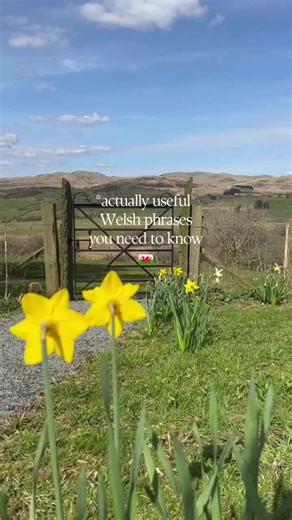 Skip popty-ping… these are the Welsh phrases you’ll actually need in Cymru. 🏴󠁧󠁢󠁷󠁬󠁳󠁿 Save before your trip. 💾 #Cymru #Wales #Welsh #Language #Tips