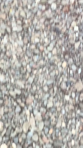 🙃 #ken2racingmuffler #f1zr