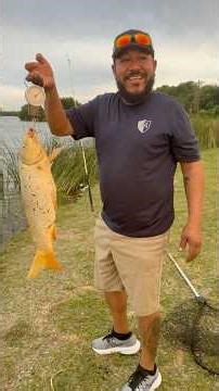 Don’t forget to like, subscribe, and support the channel! 🎣 #fishing #fish #carpfishing #carp