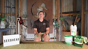 12K views · 28 reactions | We've touched on this topic before - seedheads, but in recent months conditions have been a bit all over the place in many areas leading to some unusual reoccurrences. Let's take a look at why this might be happening in your lawn and what you can do about it… | Lawn Solutions Australia | Facebook