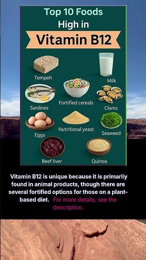 top 10 foods high in vitamin B12